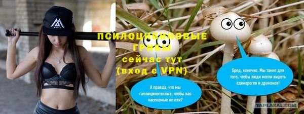 герыч Алексин