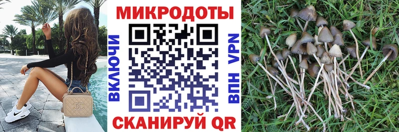 Галлюциногенные грибы MAGIC MUSHROOMS  Хабаровск 